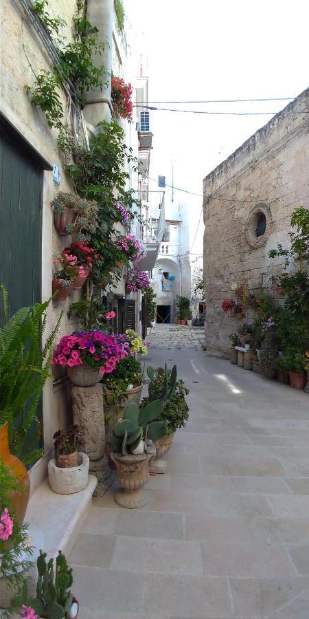 My Monopoli- Casa Dei Fiori "Orchidea" Centro Storico Hotel Exterior photo